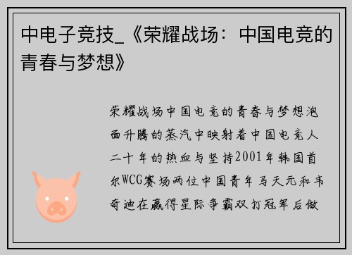中电子竞技_《荣耀战场：中国电竞的青春与梦想》